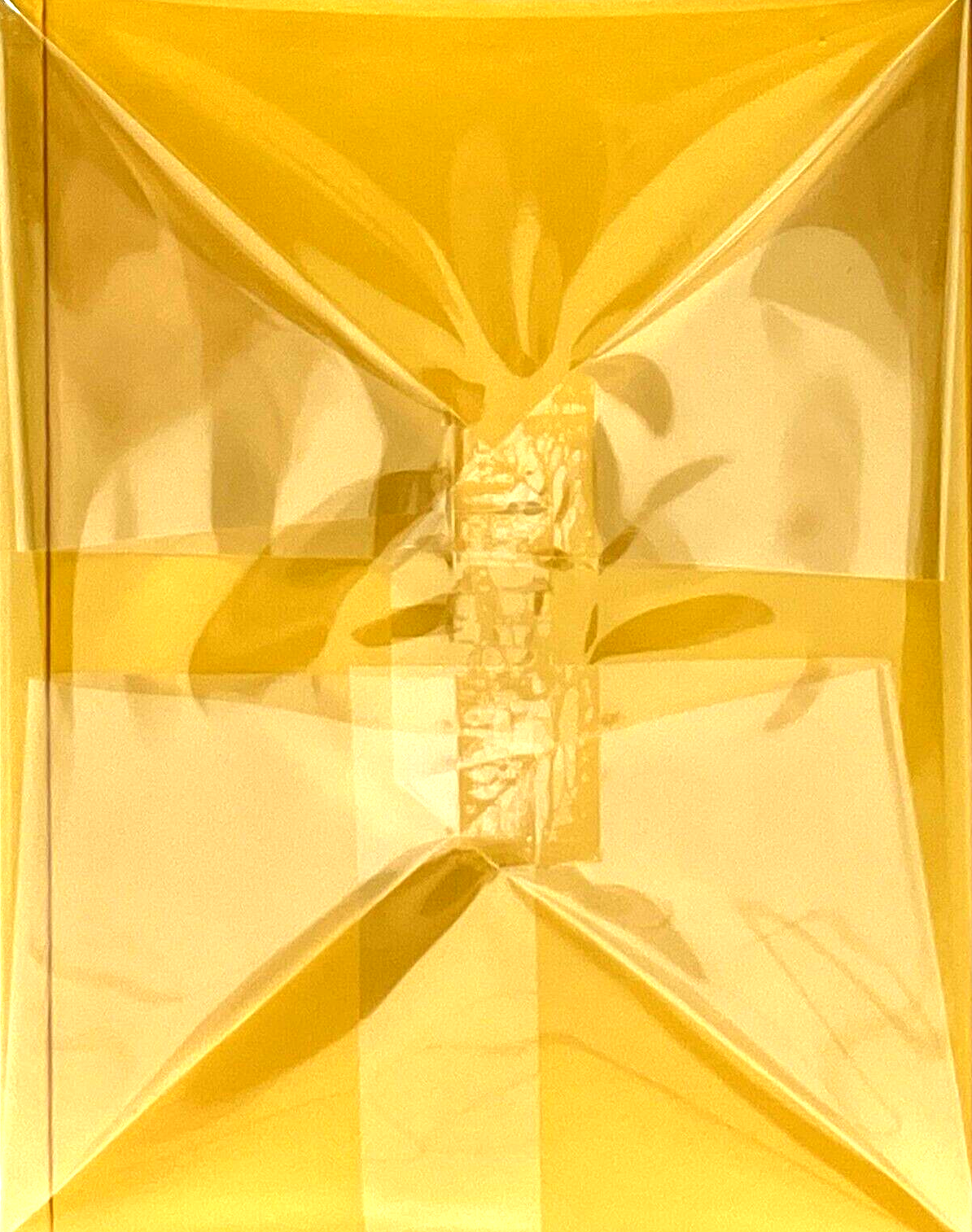 VILHELM PARFUMERIE MANGO SKIN 1.7 Oz / 50 ml